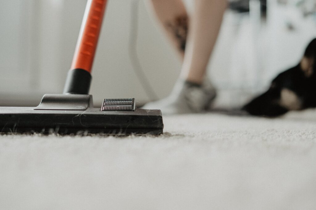 Top-tier carpet cleaning in McKinney, TX